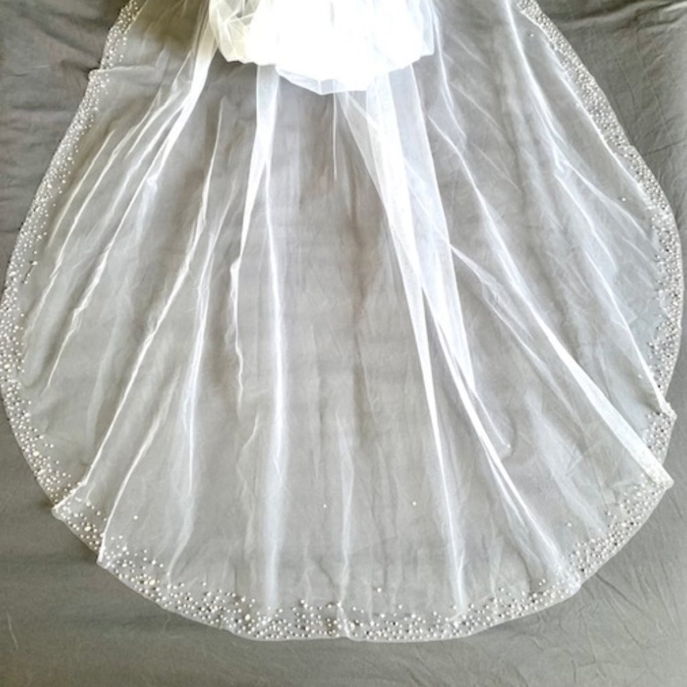 Chapel Length Veil with Rhinestone edging